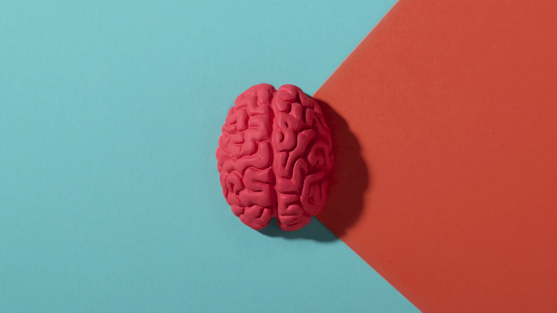 La Inteligencia Artificial de Mente a Voz Traduce las Ondas Cerebrales en Habla
