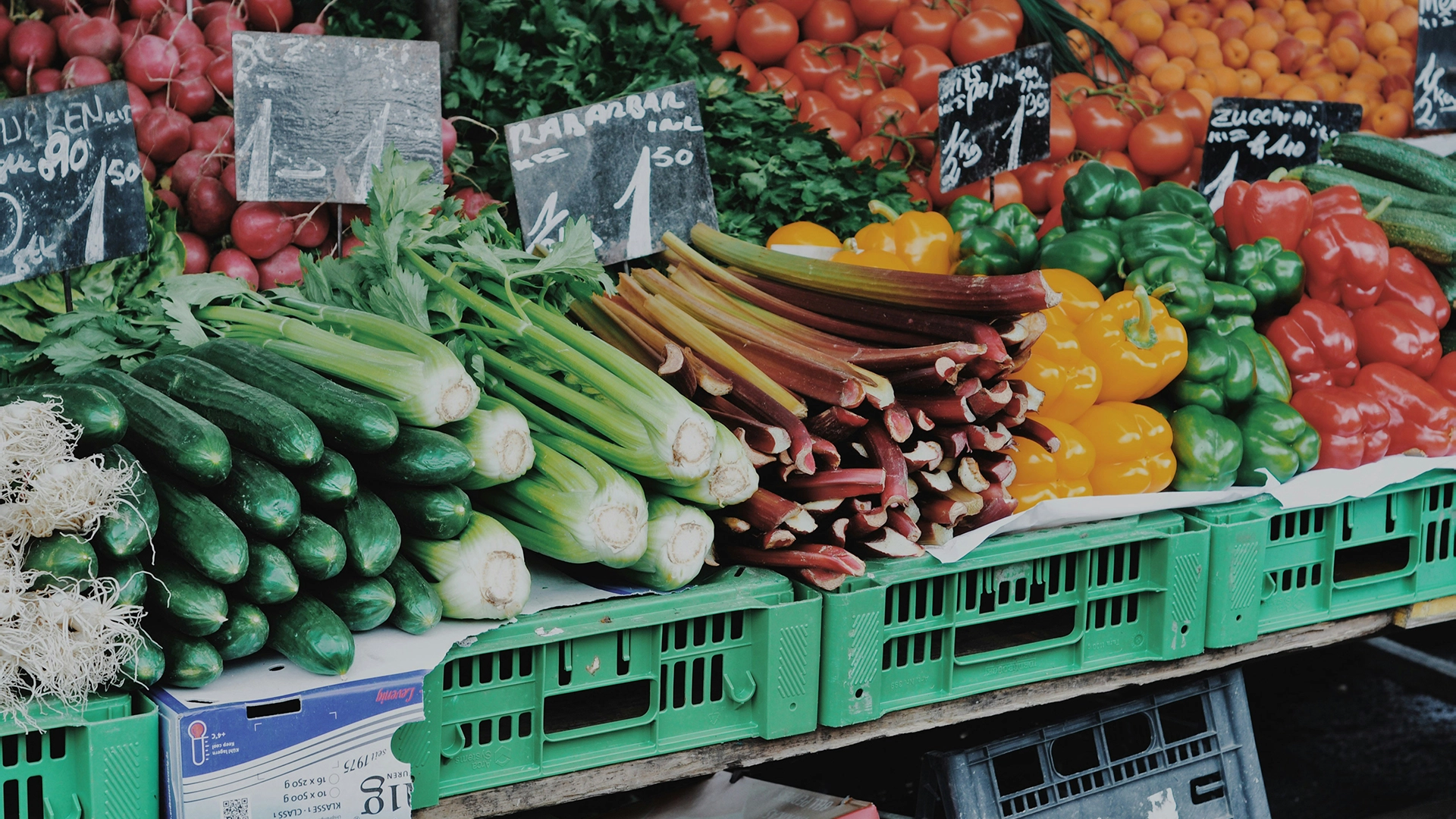 Prueba de Herramienta de IA se Enfoca en el Desperdicio de Alimentos en el Reino Unido, Podrían Salvarse Millones de Comidas