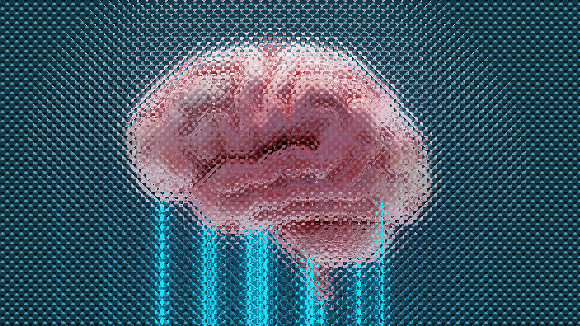 Neuralink asegura 650 millones de dólares en la ronda de financiación de la Serie E