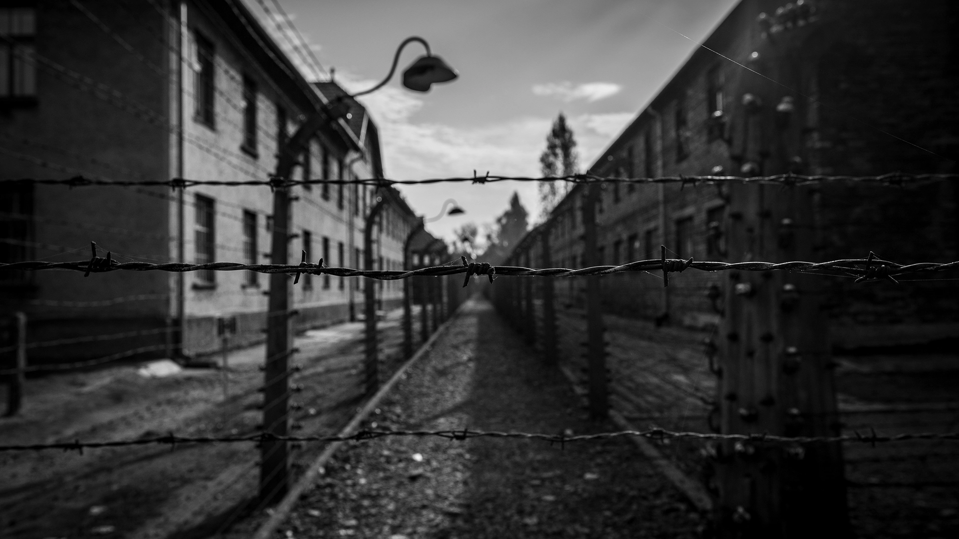 La BBC Desenmascara la Estafa de Imágenes del Holocausto por IA en Facebook